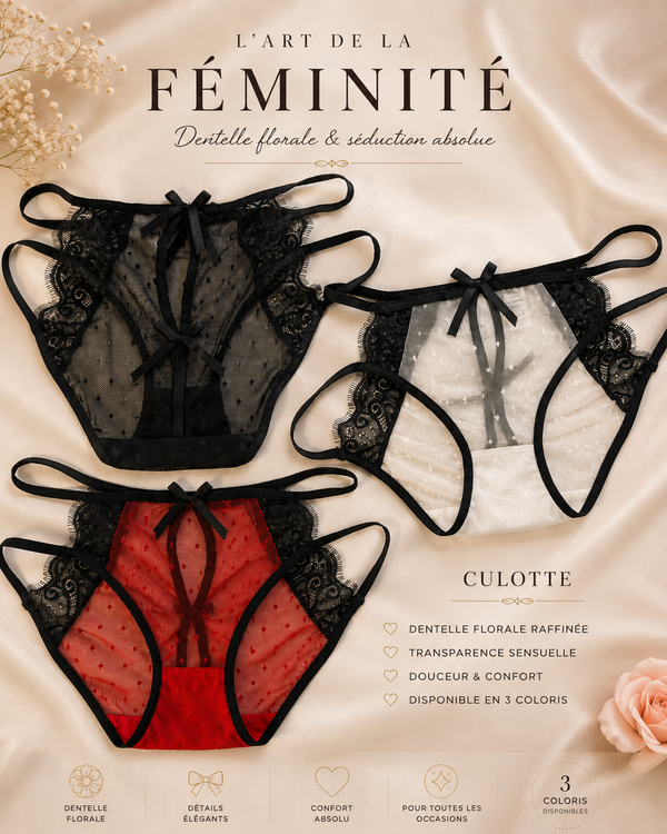 Lot de 3 Culotte Dentelle Transparente – Élégance & Séduction